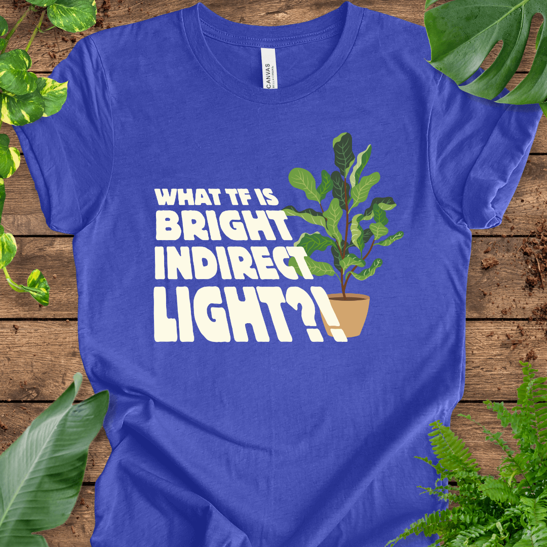 What TF is Bright Indirect Light T-Shirt