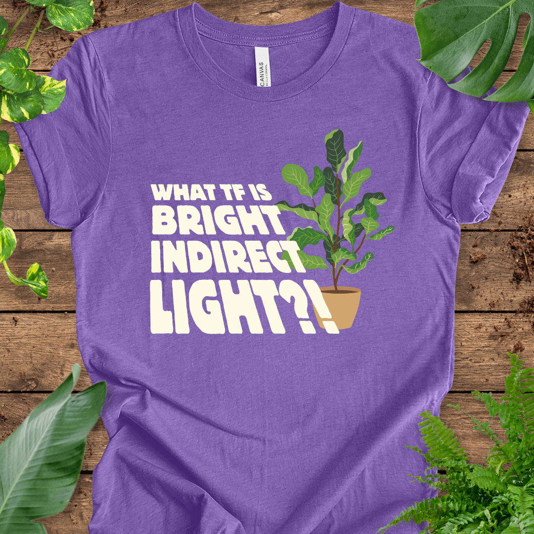 What TF is Bright Indirect Light T-Shirt